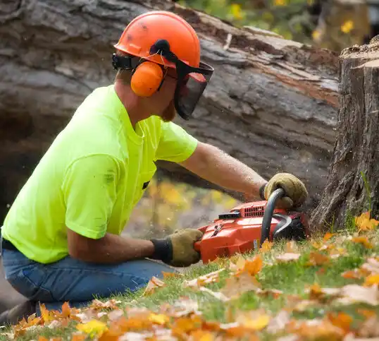 tree services Devola